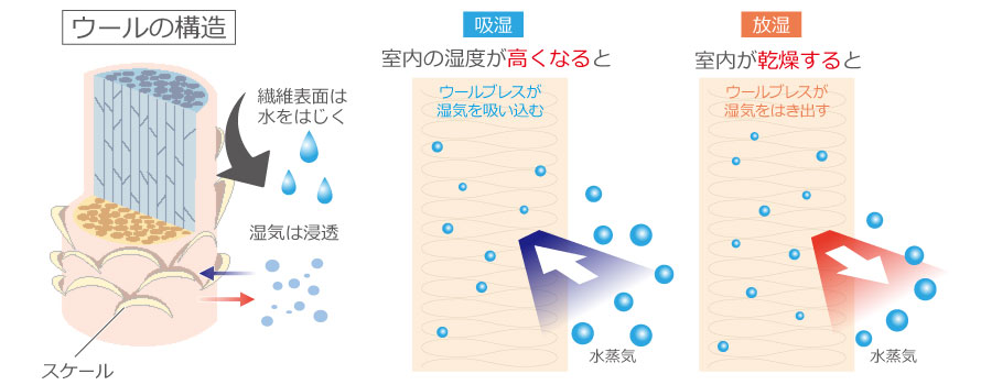断熱材 ウールブレスのウールの構造。繊維表面は水をはじく。湿気は浸透。吸湿⇒室内の湿度が高くなると、ウールブレスが湿気を吸い込む。放湿⇒室内が乾燥すると、ウールブレスが湿気をはき出す。