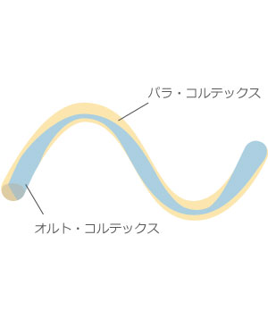 断熱材　ウールブレスのクリンプ説明図